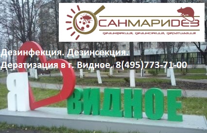 Решение вызвать СЭС травить клопов в квартире многим даётся непросто