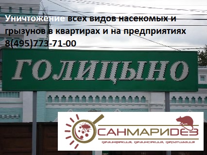 Время вызвать СЭС на уничтожение насекомых и грызунов в Голицыно. К Вашим услугам &laquo;СанМариДез&raquo;!