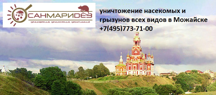 Как вызвать специалиста по борьбе с клопами и тараканами в Можайск? Санэпидстанция &laquo;СанМариДез&raquo; в Можайском районе