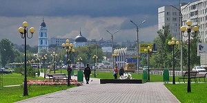 Служба по обработке и уничтожению клещей на дачных участках в Ногинском районе