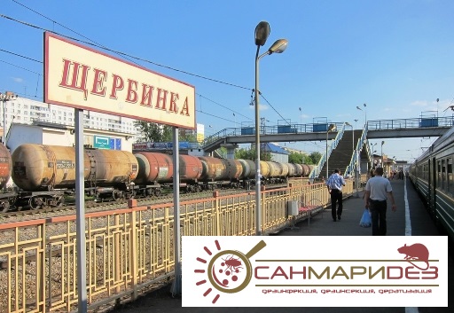 Уничтожение клопов, тараканов, муравьев, крыс и мышей в Щербинке и прилегающих к ней районах