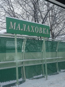 Уничтожение клопов, тараканов, обработка дачных участков от клещей, осиных гнезд и кротов в Малаховке