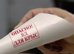 Профессиональное уничтожение крыс