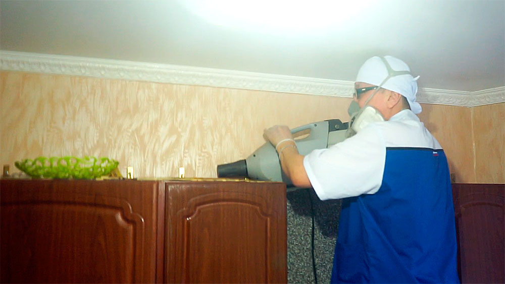 Именно здесь &mdash; на кухонных шкафчиках &mdash; тараканов всегда больше всего.